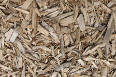 biomass boilers How Wood